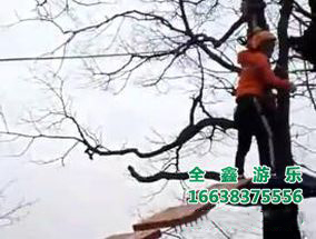 丛林穿越视频