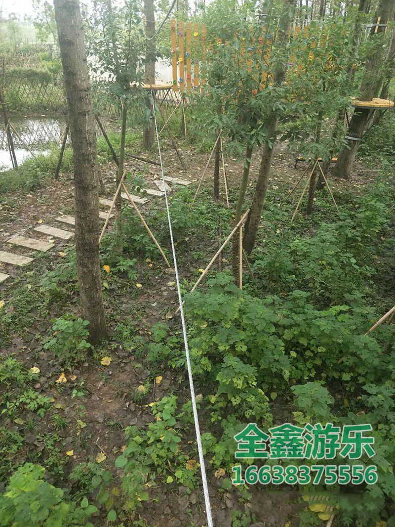 丛林穿越