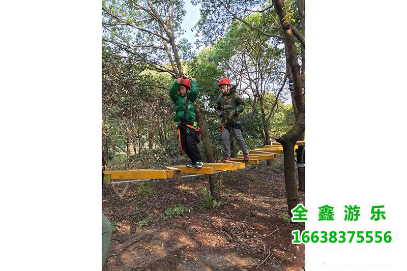 丛林穿越