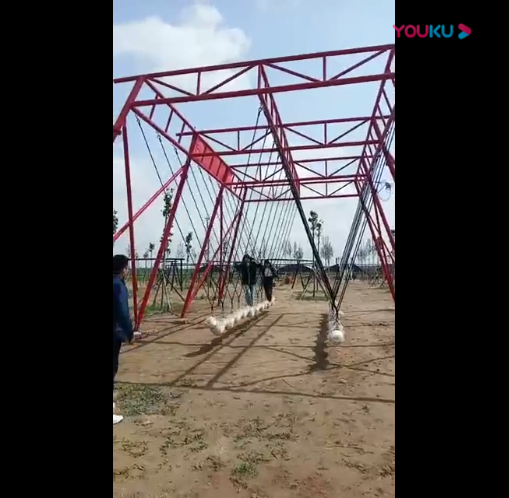 秋千乐园视频