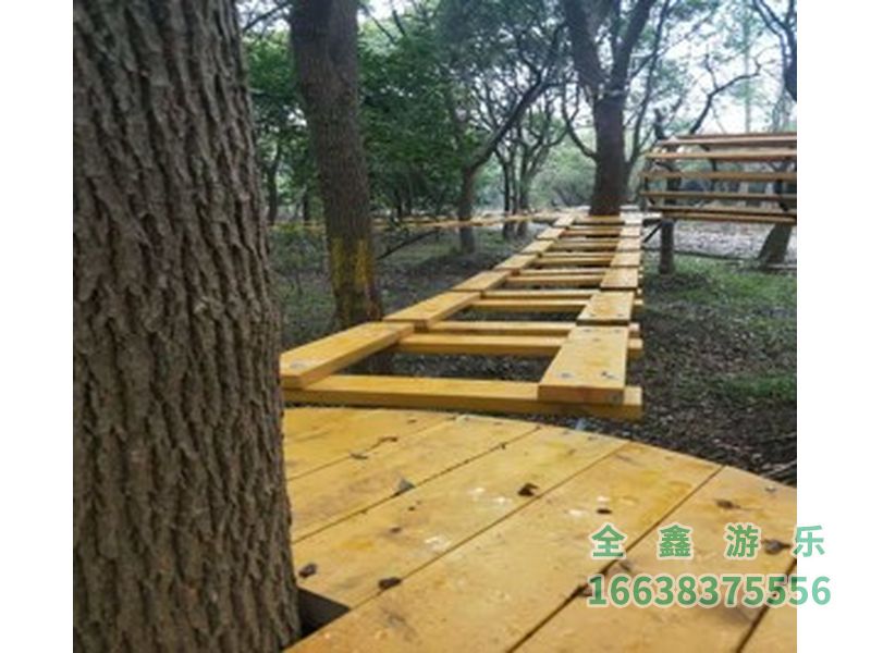 丛林穿越