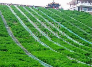 滑草
