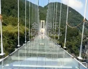 视频展示