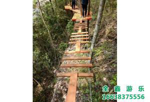 丛林穿越