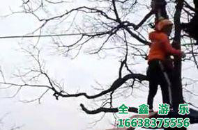 丛林穿越视频
