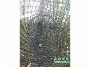 丛林穿越