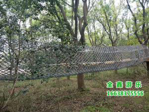 丛林穿越