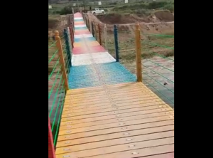 视频展示